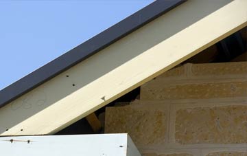 Artafallie fascia repairs
